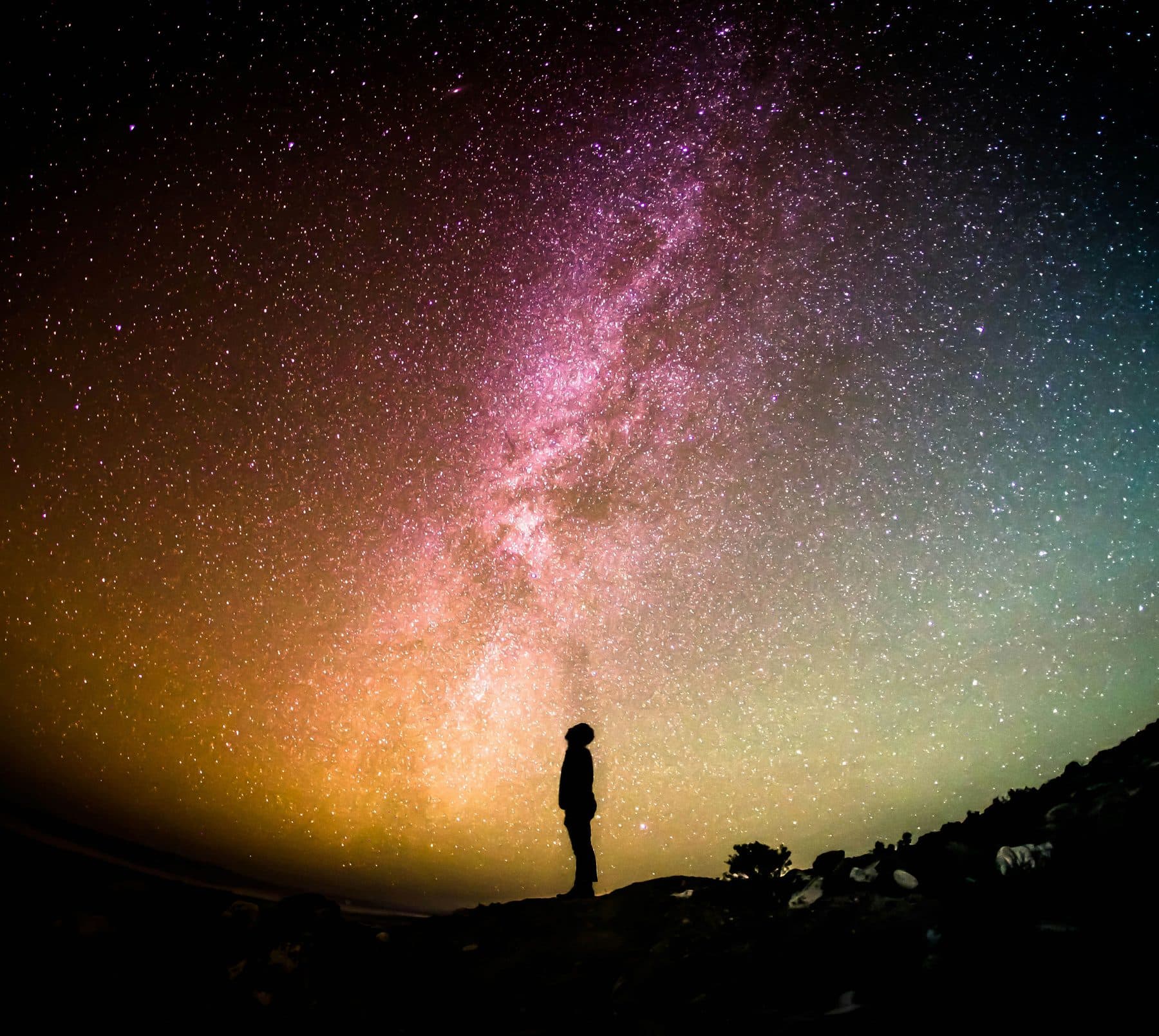 A person looking up beneath a star-filled sky